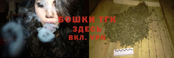 соль ск Горнозаводск