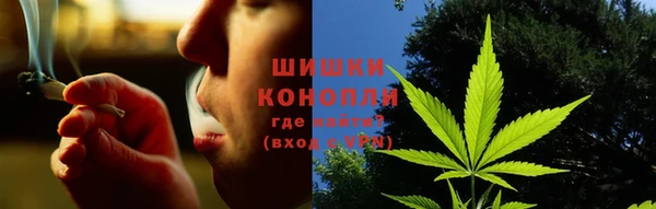 2c-b Горно-Алтайск