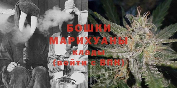 дживик Горняк