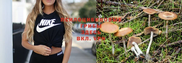 дживик Горняк