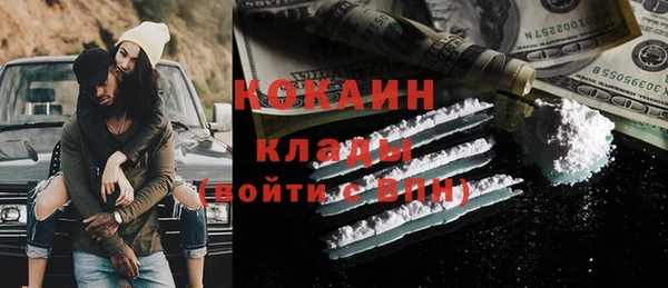 дживик Горняк