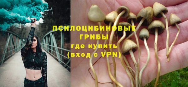 дживик Горняк