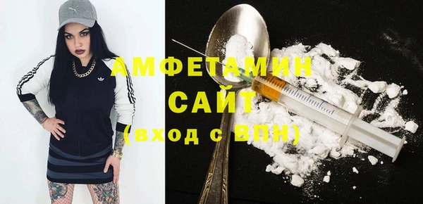 дживик Горняк