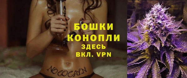 2c-b Горно-Алтайск