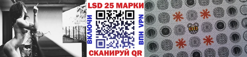 Купить где  Аргун  Марки NBOMe 1,8мг 