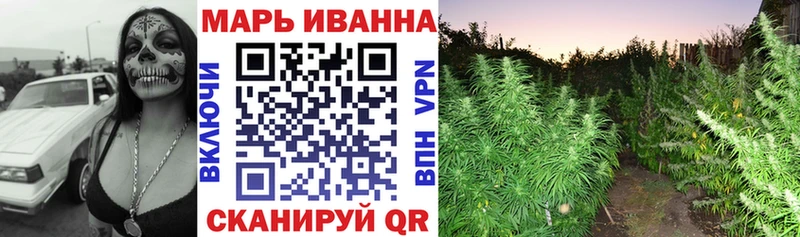 Купить  Аргун  Каннабис THC 21% 